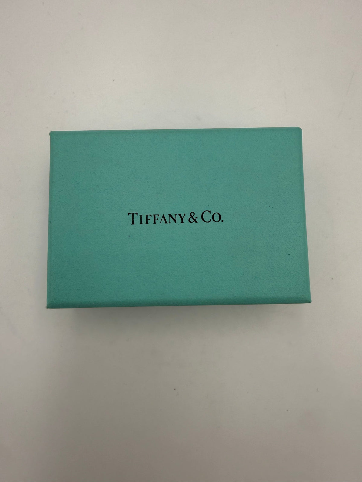 Tiffany & Co. Women's Double Chain Silver Bracelet