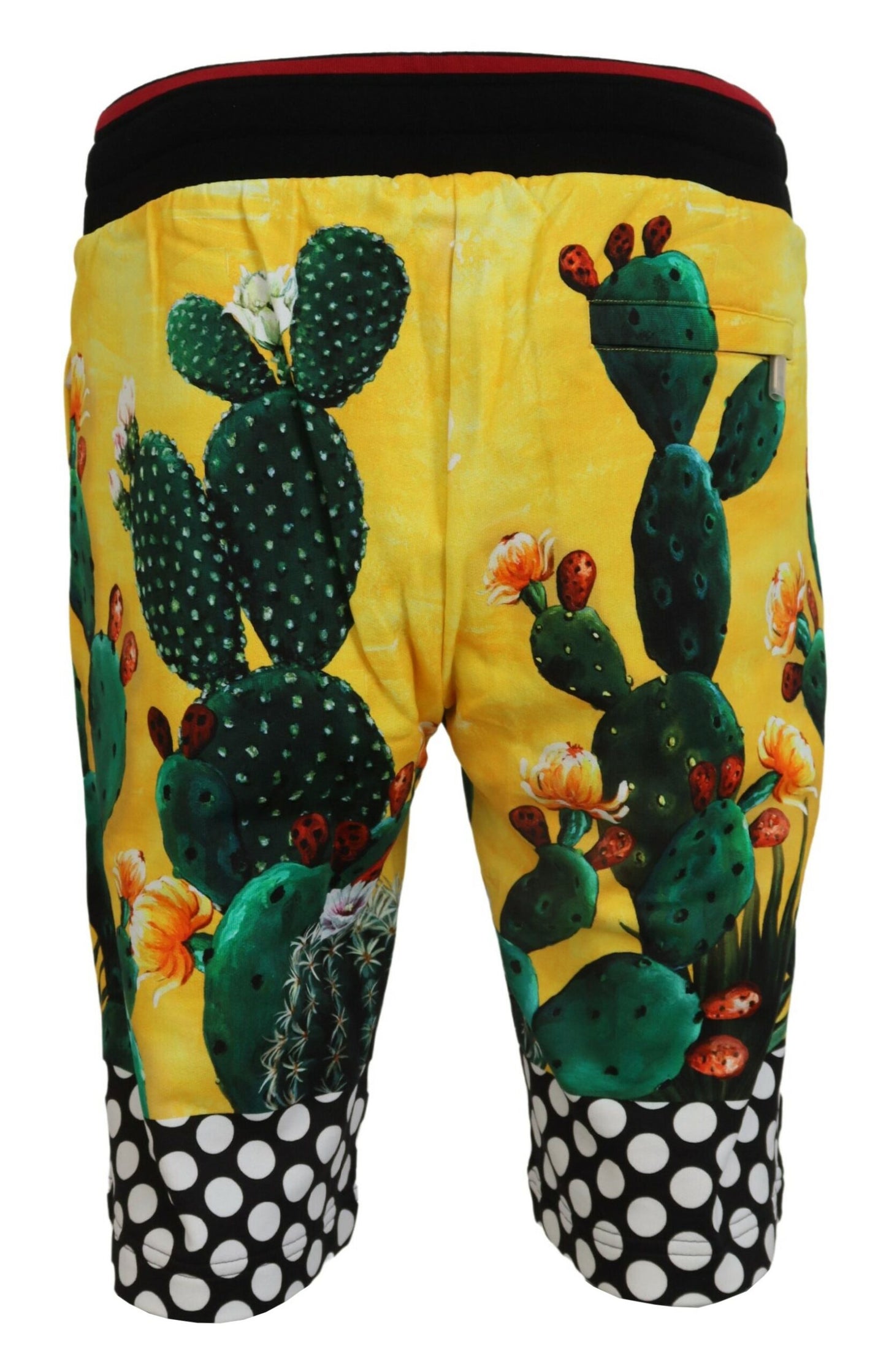 Pantalones cortos de algodón con estampado de cactus multicolor de Dolce & Gabbana