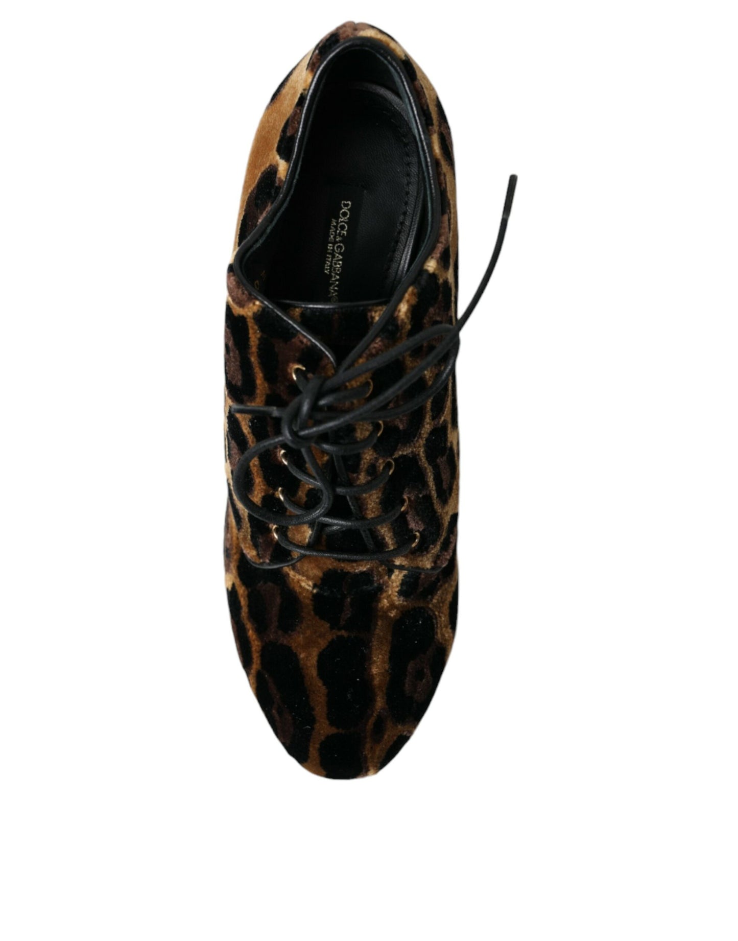 Botines de leopardo marrones con cordones Dolce & Gabbana