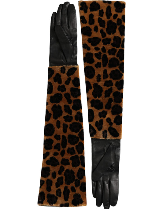 Guantes de cuero Dolce & Gabbana de leopardo marrón y negro, hasta el codo