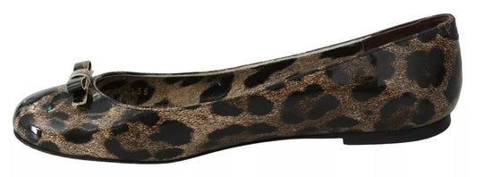 Zapatos Planos de Ballet de Leopardo Marrón de Piel Dolce & Gabbana