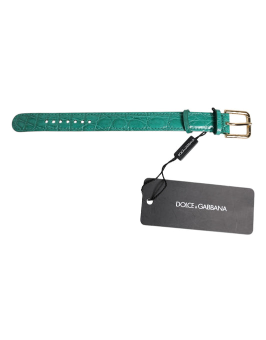 Brazalete de piel exótica verde con hebilla de metal dorado Dolce & Gabbana