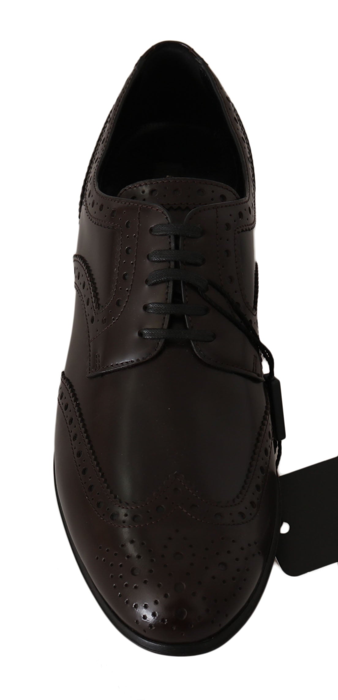 Zapatos Oxford Brogue con puntera de ala de cuero marrón Dolce & Gabbana