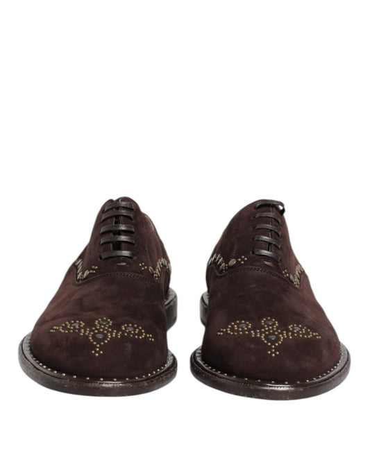 Zapatos de vestir Oxford con cordones de terciopelo marrón Dolce & Gabbana