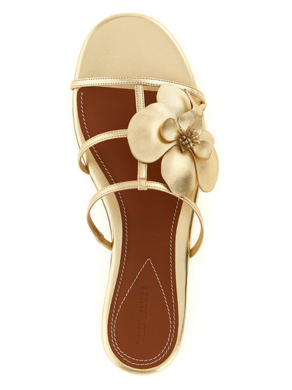 Sandalias de cuero dorado Zimmermann