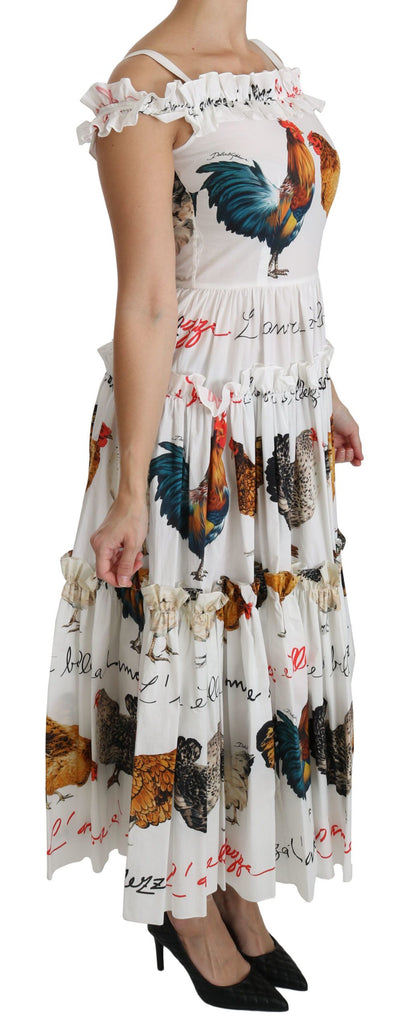 Vestido midi tubo de algodón blanco con estampado de gallo de Dolce & Gabbana