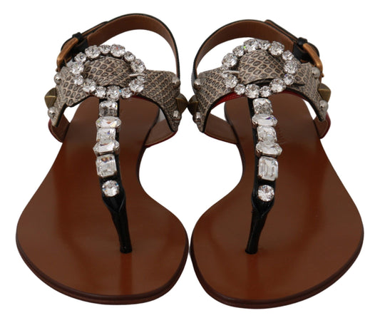 Chanclas de cristal de piel Ayers de Dolce & Gabbana