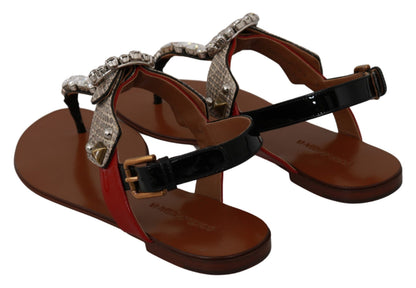 Chanclas de cristal de piel Ayers de Dolce & Gabbana