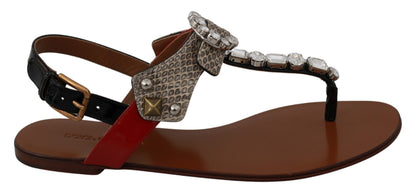 Chanclas de cristal de piel Ayers de Dolce & Gabbana