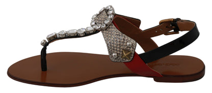 Chanclas de cristal de piel Ayers de Dolce & Gabbana