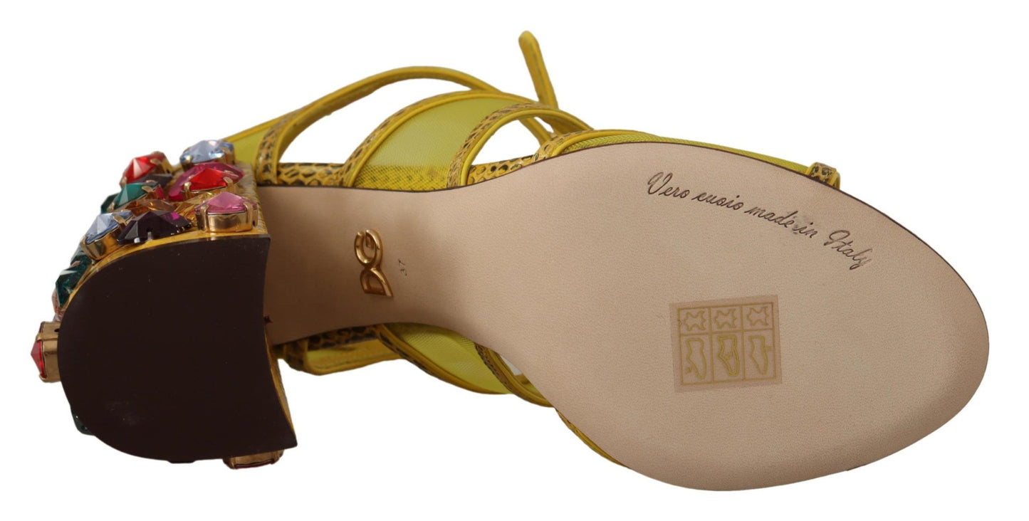 Zapatos Sandalias Dolce & Gabbana de cuero amarillo con cristales Ayers