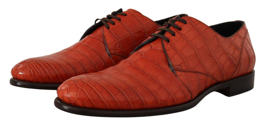 Zapatos Derby Dolce & Gabbana de piel exótica naranja
