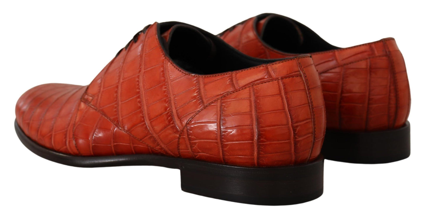 Zapatos Derby Dolce & Gabbana de piel exótica naranja