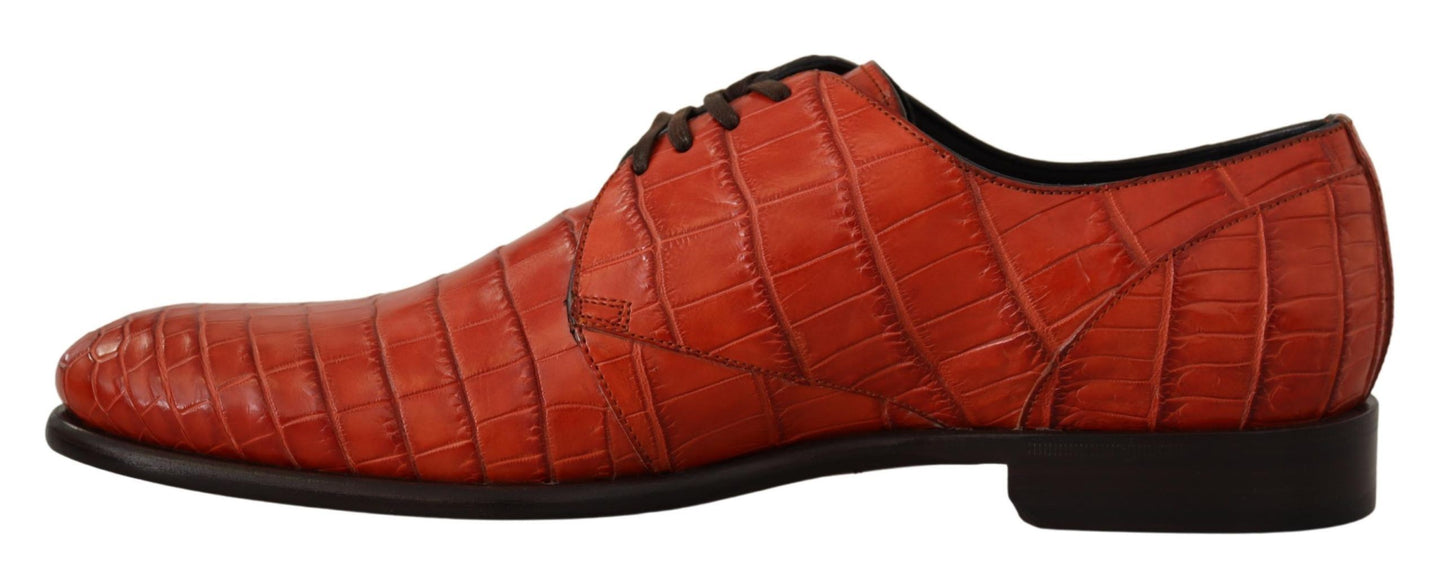 Zapatos Derby Dolce & Gabbana de piel exótica naranja