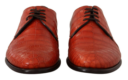 Zapatos Derby Dolce & Gabbana de piel exótica naranja