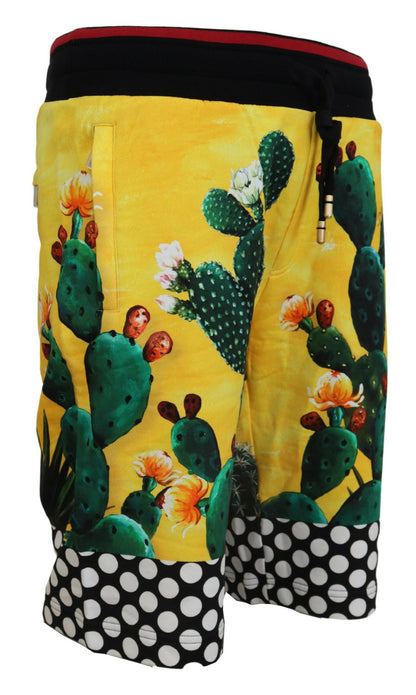 Pantalones cortos de algodón con estampado de cactus multicolor de Dolce & Gabbana