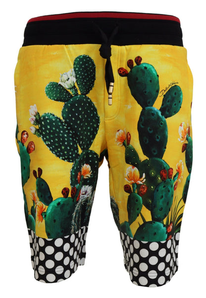 Pantalones cortos de algodón con estampado de cactus multicolor de Dolce & Gabbana