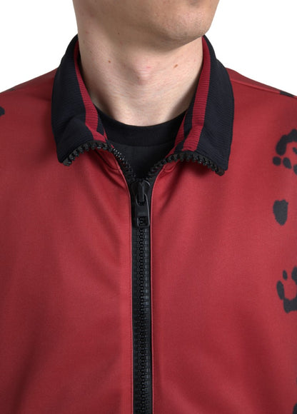 Chaqueta Bomber de Poliéster con Cremallera Completa y Estampado de Leopardo Rojo de Dolce & Gabbana