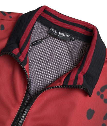 Chaqueta Bomber de Poliéster con Cremallera Completa y Estampado de Leopardo Rojo de Dolce & Gabbana