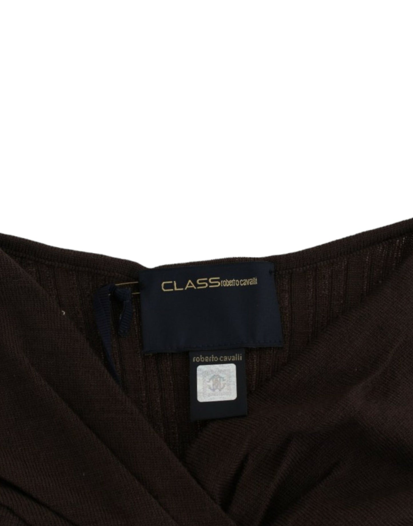 Jersey de lana Cavalli Brown