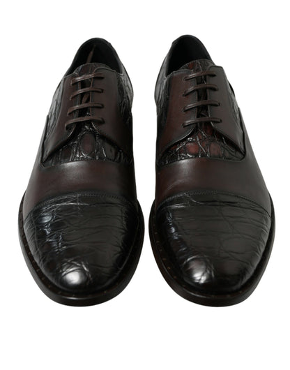 Zapatos de vestir formales Dolce & Gabbana de piel exótica marrón para hombre