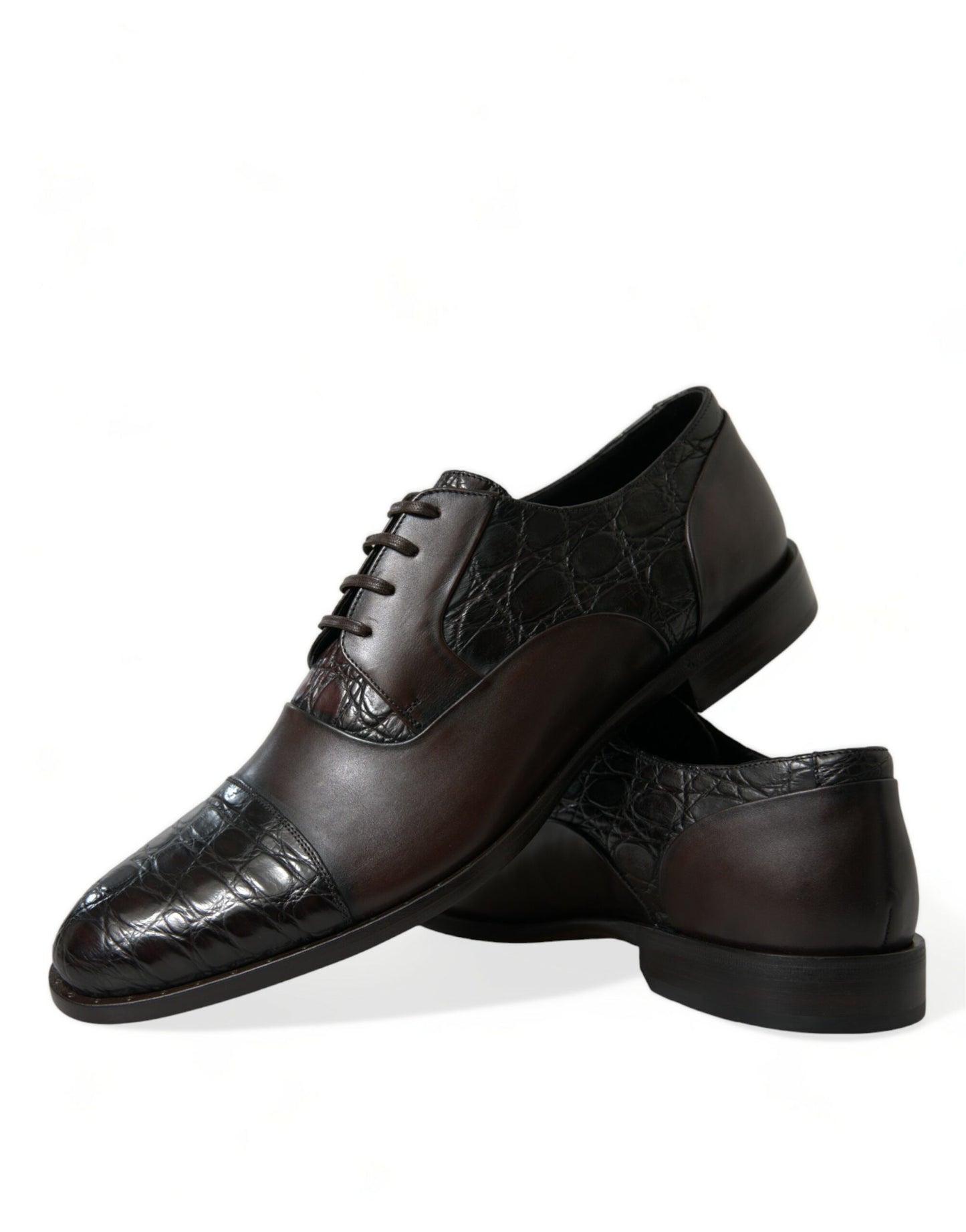 Zapatos de vestir formales Dolce & Gabbana de piel exótica marrón para hombre