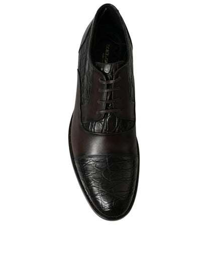 Zapatos de vestir formales Dolce & Gabbana de piel exótica marrón para hombre