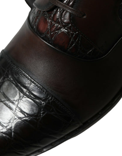 Zapatos de vestir formales Dolce & Gabbana de piel exótica marrón para hombre