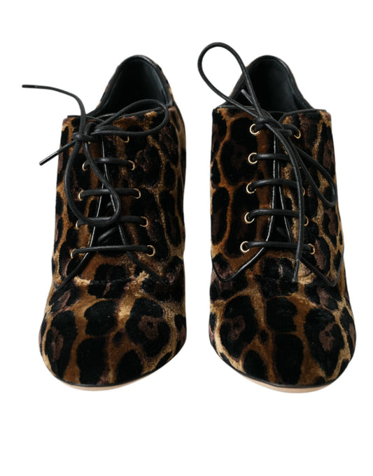 Botines de leopardo marrones con cordones Dolce & Gabbana