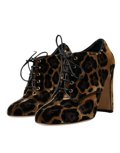 Botines de leopardo marrones con cordones Dolce & Gabbana