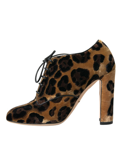 Botines de leopardo marrones con cordones Dolce & Gabbana