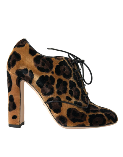 Botines de leopardo marrones con cordones Dolce & Gabbana