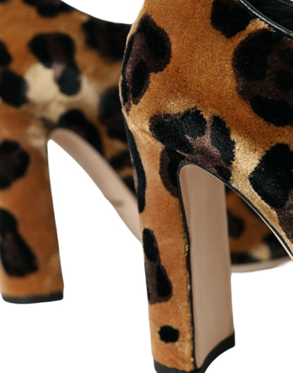 Botines de leopardo marrones con cordones Dolce & Gabbana