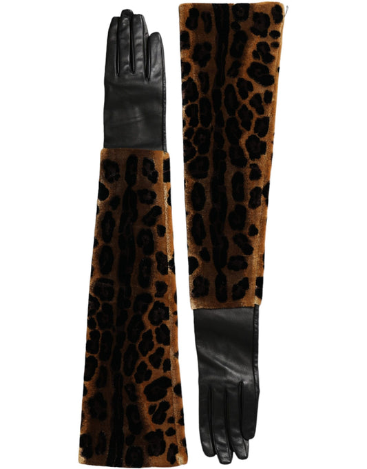 Guantes de cuero Dolce & Gabbana de leopardo marrón y negro, hasta el codo