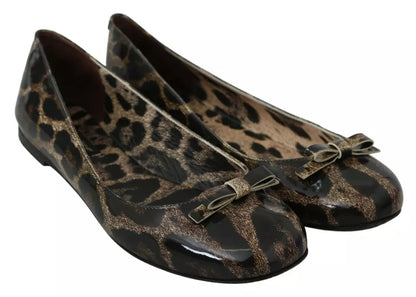 Zapatos Planos de Ballet de Leopardo Marrón de Piel Dolce & Gabbana