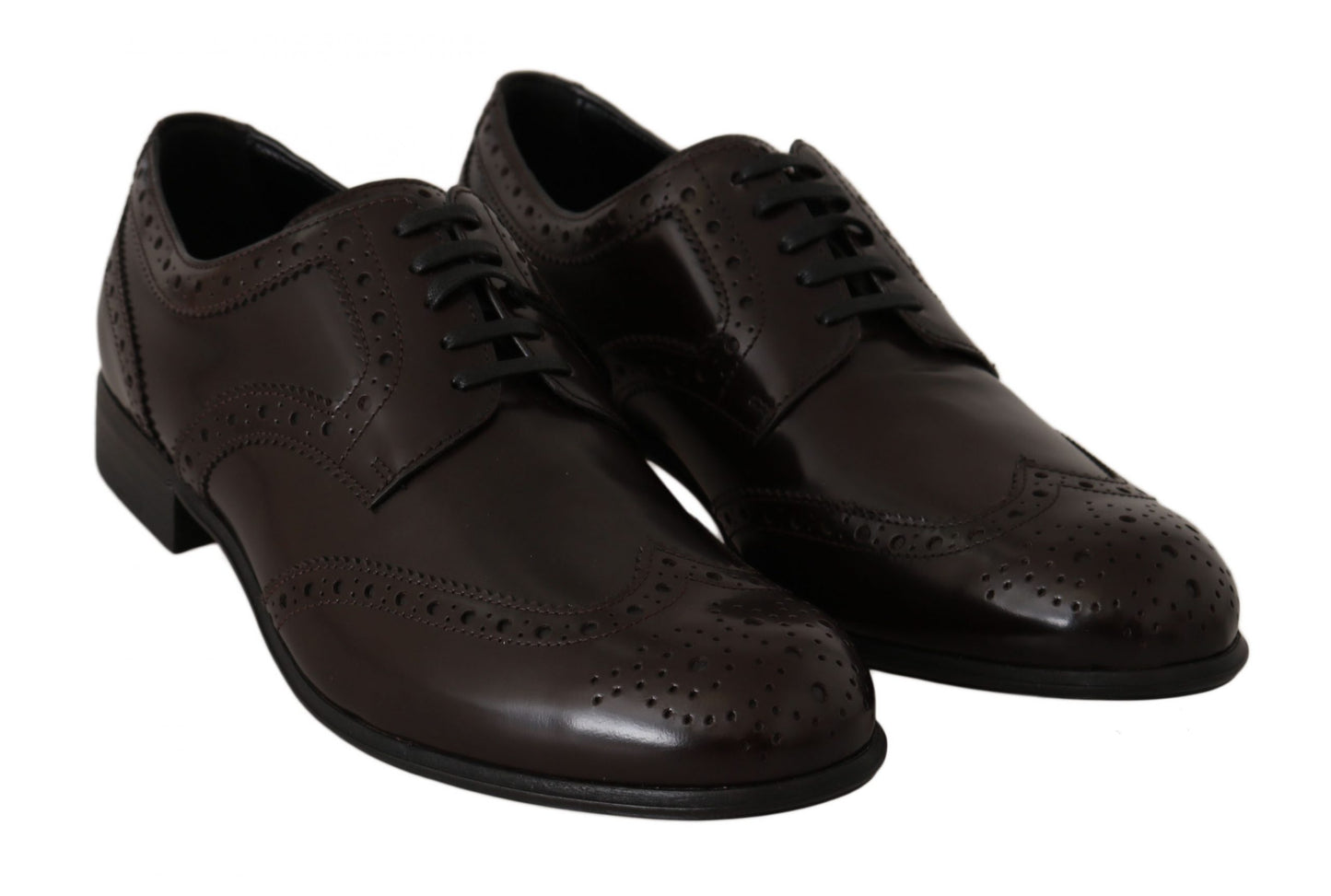 Zapatos Oxford Brogue con puntera de ala de cuero marrón Dolce & Gabbana