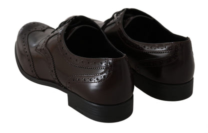 Zapatos Oxford Brogue con puntera de ala de cuero marrón Dolce & Gabbana