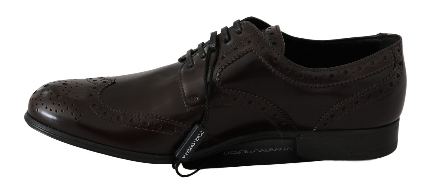 Zapatos Oxford Brogue con puntera de ala de cuero marrón Dolce & Gabbana