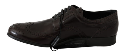 Zapatos Oxford Brogue con puntera de ala de cuero marrón Dolce & Gabbana