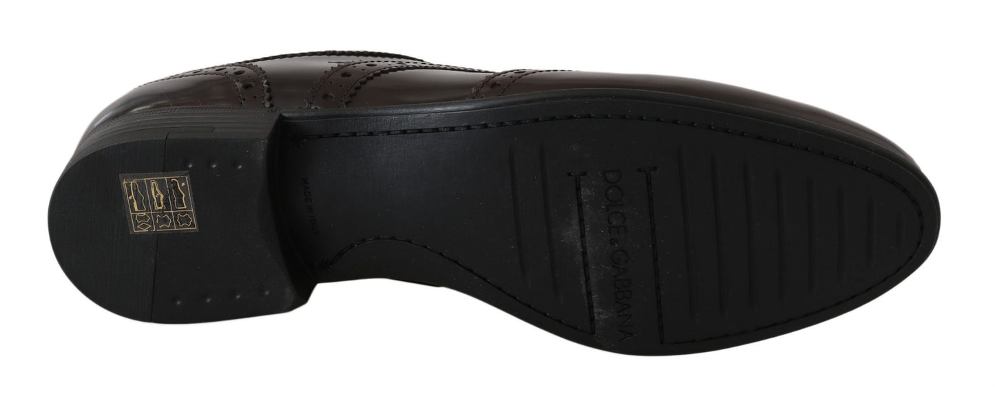 Zapatos Oxford Brogue con puntera de ala de cuero marrón Dolce & Gabbana