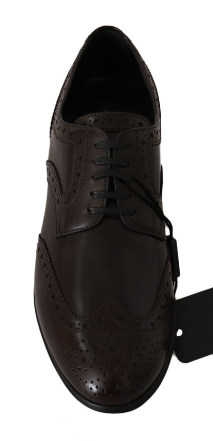 Zapatos Oxford Brogue con puntera de ala de cuero marrón Dolce & Gabbana