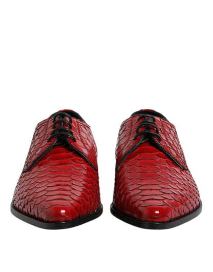 Zapatos Derby con cordones de piel exótica roja de Dolce & Gabbana