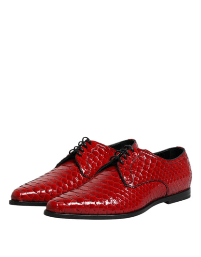 Zapatos Derby con cordones de piel exótica roja de Dolce & Gabbana