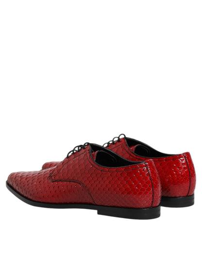 Zapatos Derby con cordones de piel exótica roja de Dolce & Gabbana