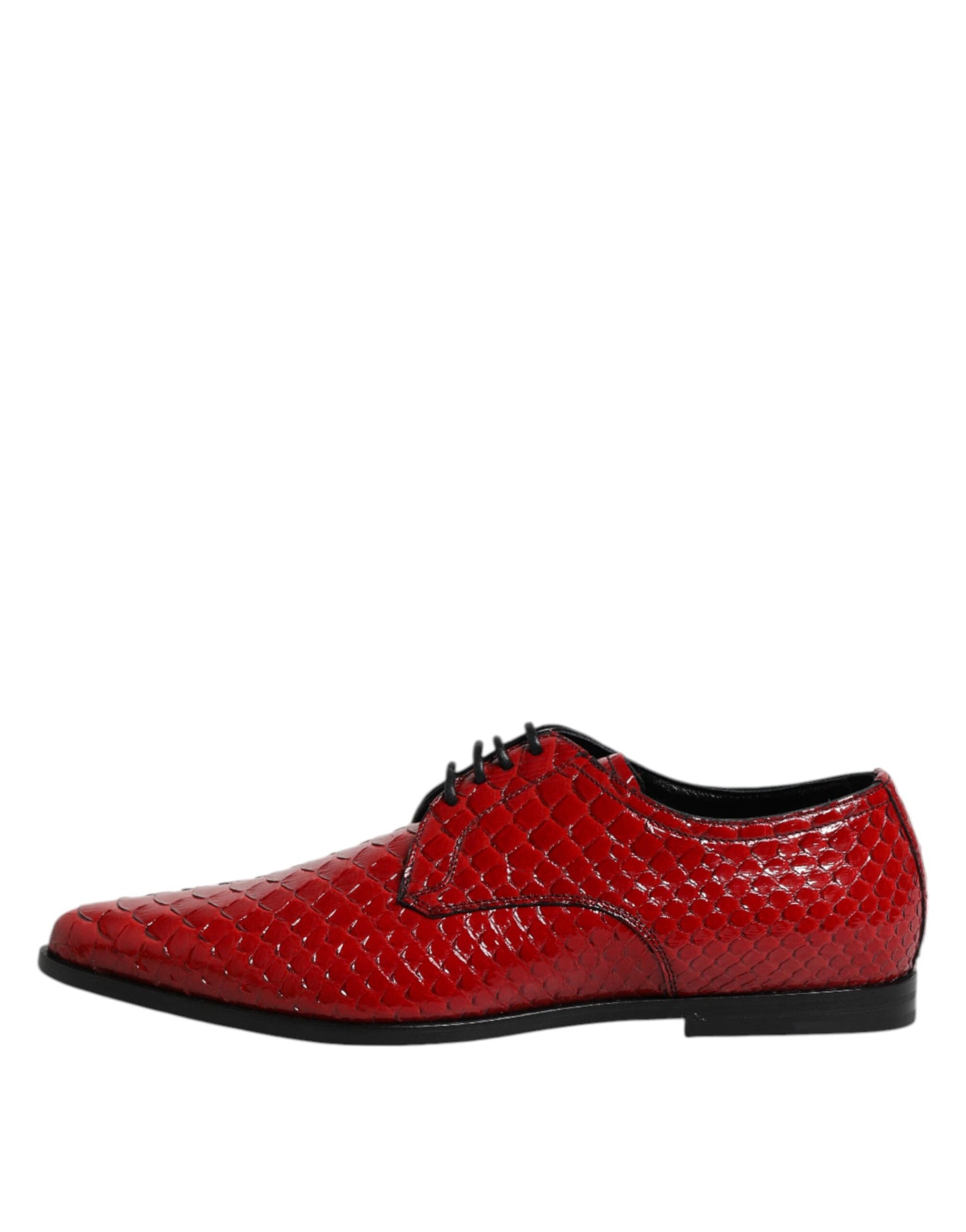 Zapatos Derby con cordones de piel exótica roja de Dolce & Gabbana