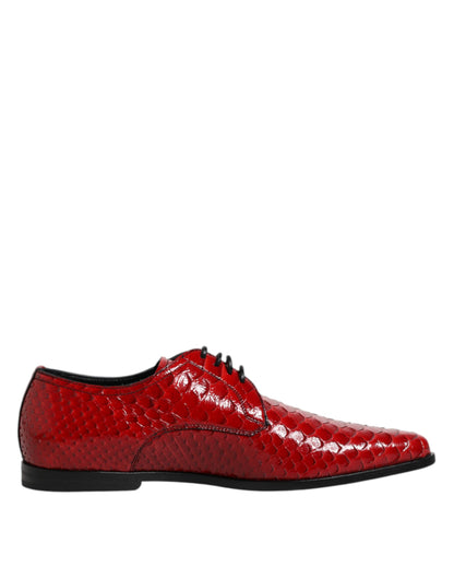 Zapatos Derby con cordones de piel exótica roja de Dolce & Gabbana