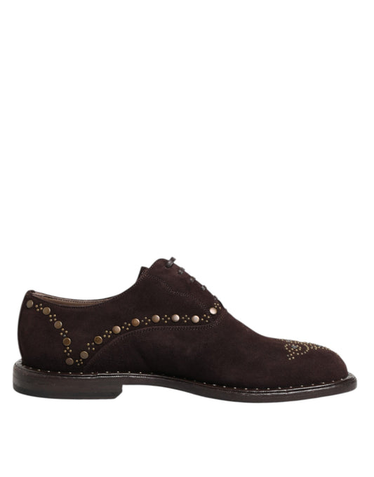 Zapatos de vestir Oxford con cordones de terciopelo marrón Dolce & Gabbana