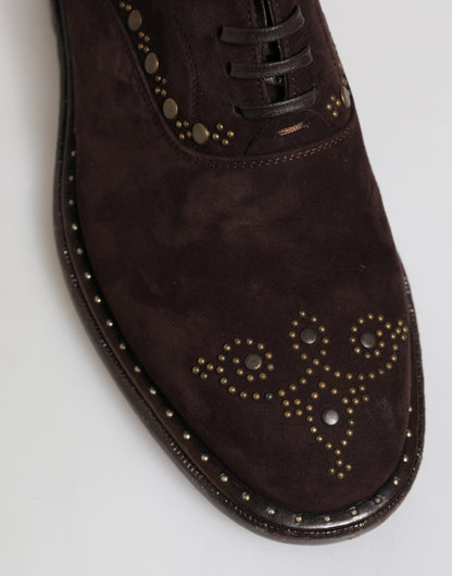 Chaussures de ville Oxford à lacets en velours marron Dolce & Gabbana