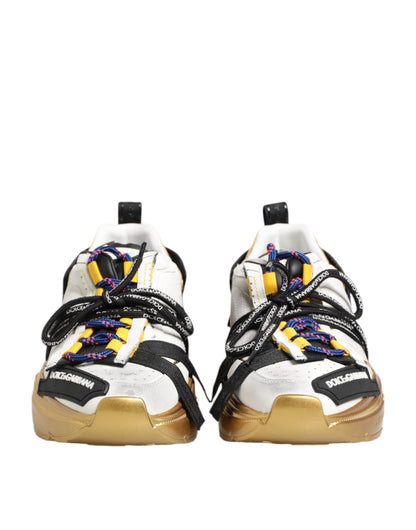 Zapatillas Bajas Dolce & Gabbana Multicolor Daymaster