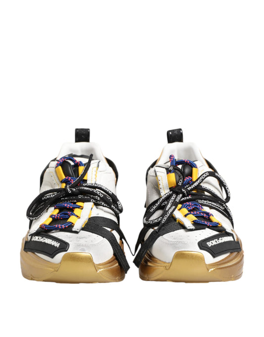 Zapatillas Bajas Dolce & Gabbana Multicolor Daymaster